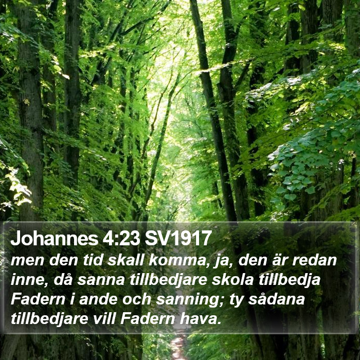 Johannes 4:23 SV1917 Bible Study