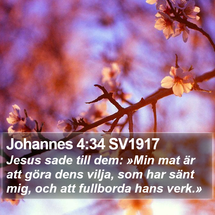 Johannes 4:34 SV1917 Bible Study