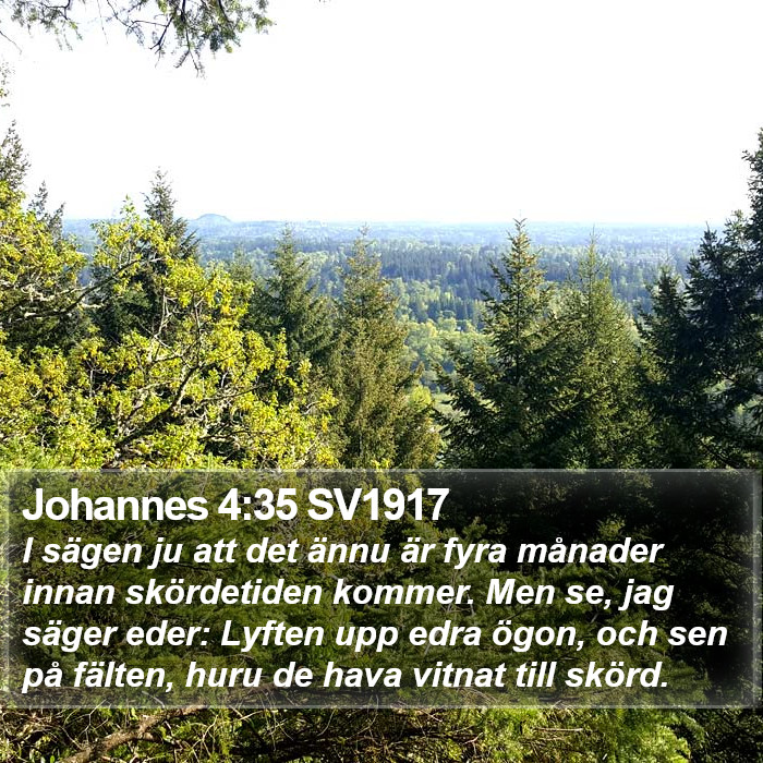 Johannes 4:35 SV1917 Bible Study