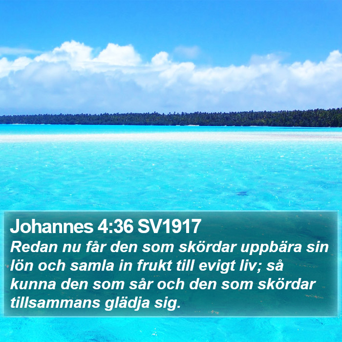 Johannes 4:36 SV1917 Bible Study