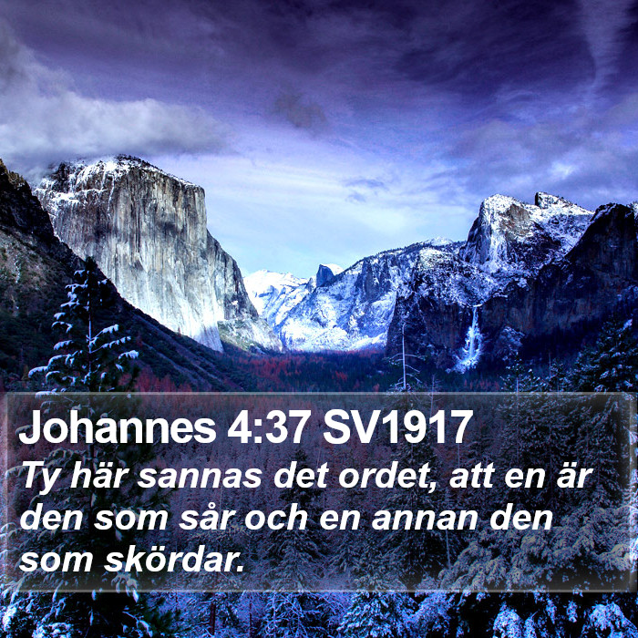 Johannes 4:37 SV1917 Bible Study