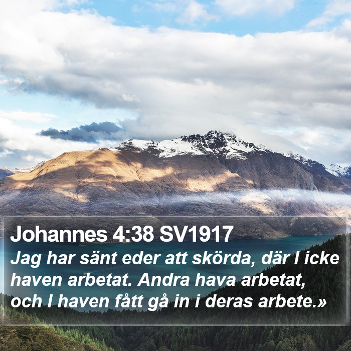 Johannes 4:38 SV1917 Bible Study