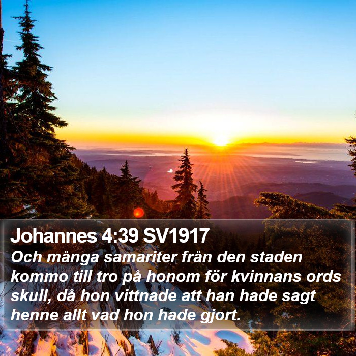 Johannes 4:39 SV1917 Bible Study