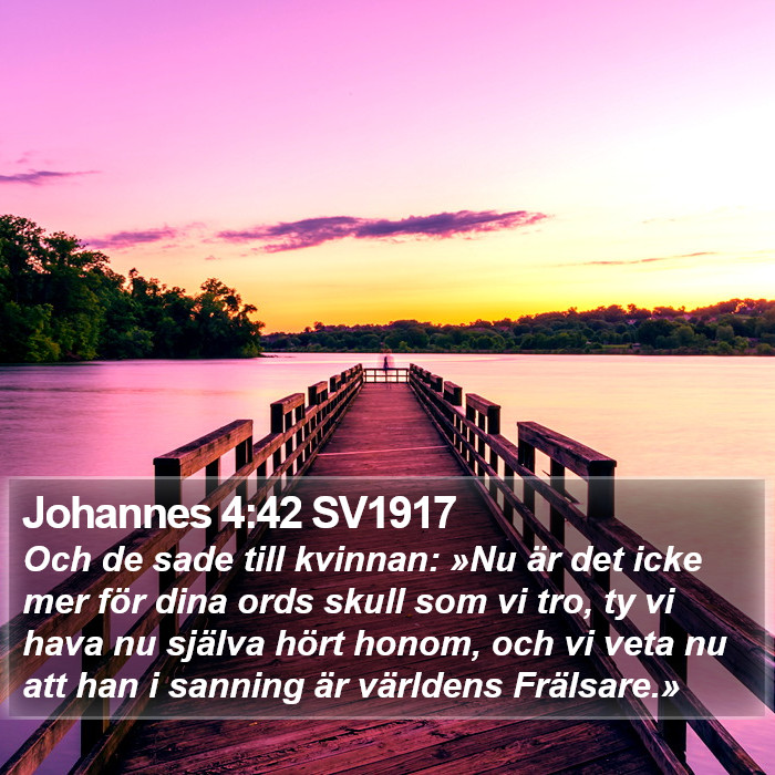 Johannes 4:42 SV1917 Bible Study