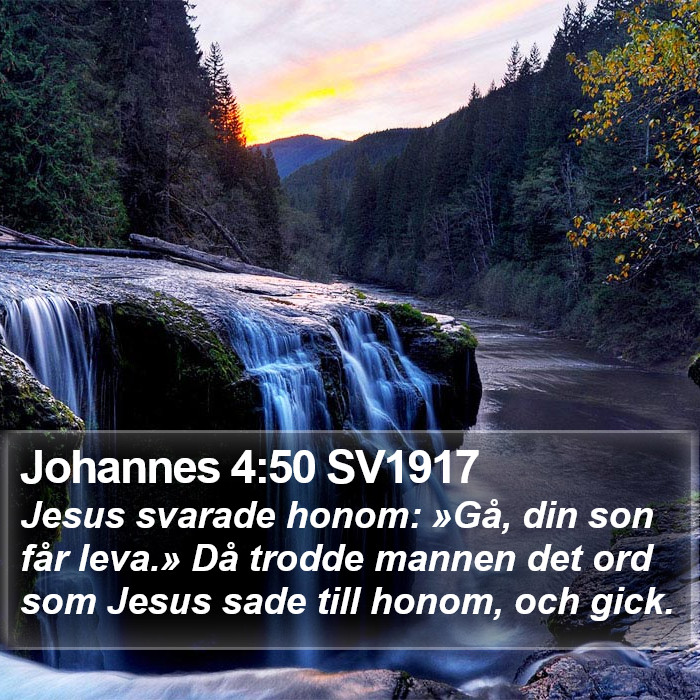 Johannes 4:50 SV1917 Bible Study