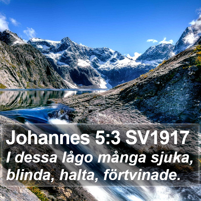 Johannes 5:3 SV1917 Bible Study