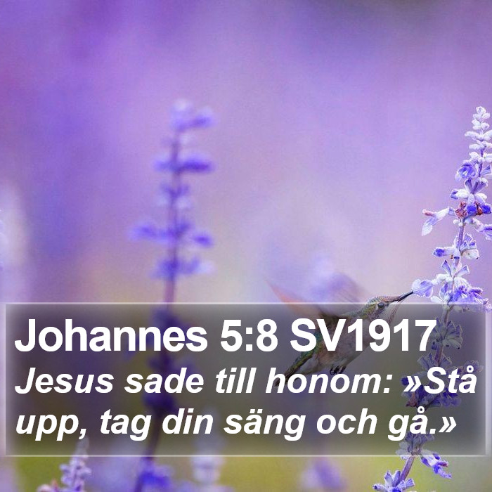 Johannes 5:8 SV1917 Bible Study