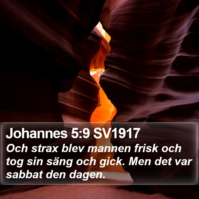 Johannes 5:9 SV1917 Bible Study