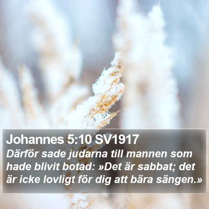 Johannes 5:10 SV1917 Bible Study