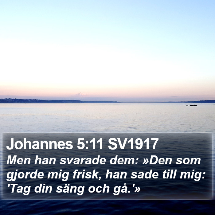 Johannes 5:11 SV1917 Bible Study