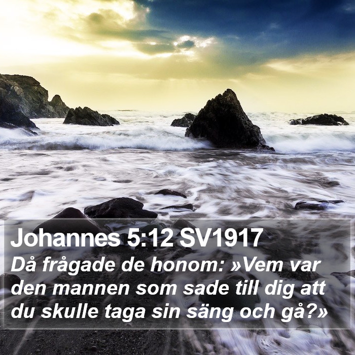 Johannes 5:12 SV1917 Bible Study