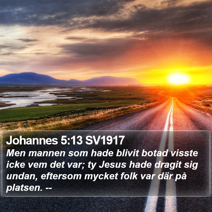 Johannes 5:13 SV1917 Bible Study