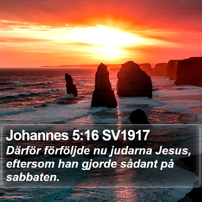 Johannes 5:16 SV1917 Bible Study