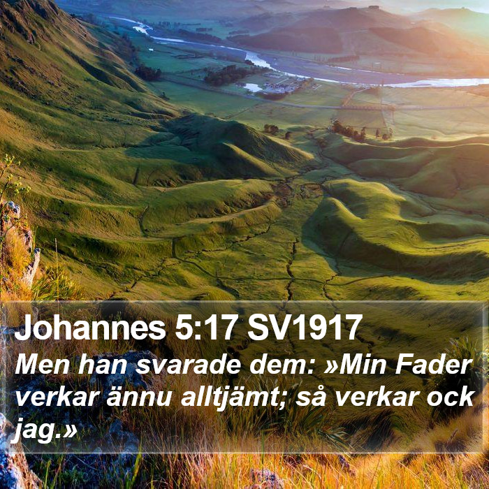 Johannes 5:17 SV1917 Bible Study