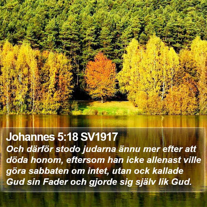 Johannes 5:18 SV1917 Bible Study