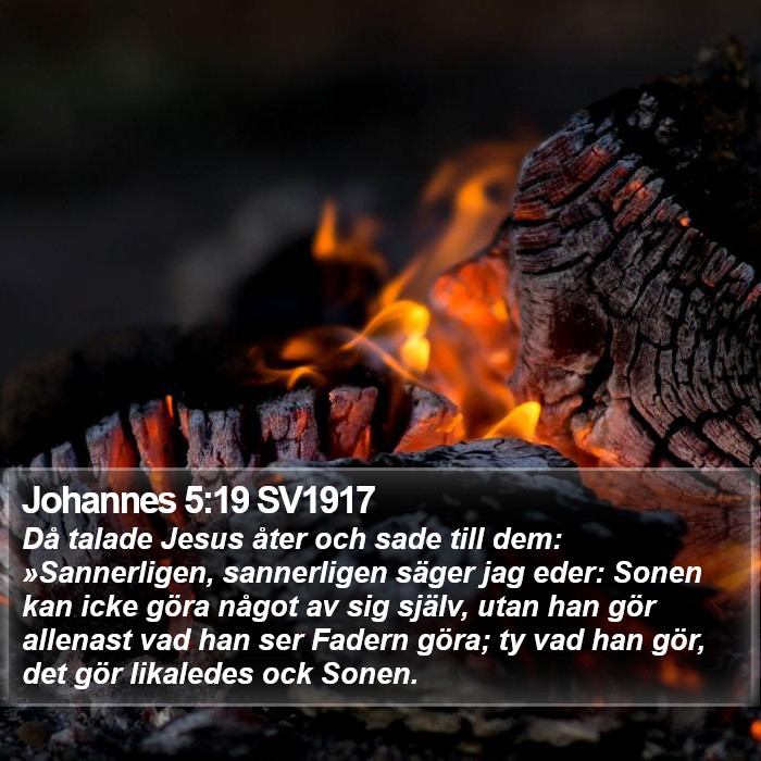 Johannes 5:19 SV1917 Bible Study