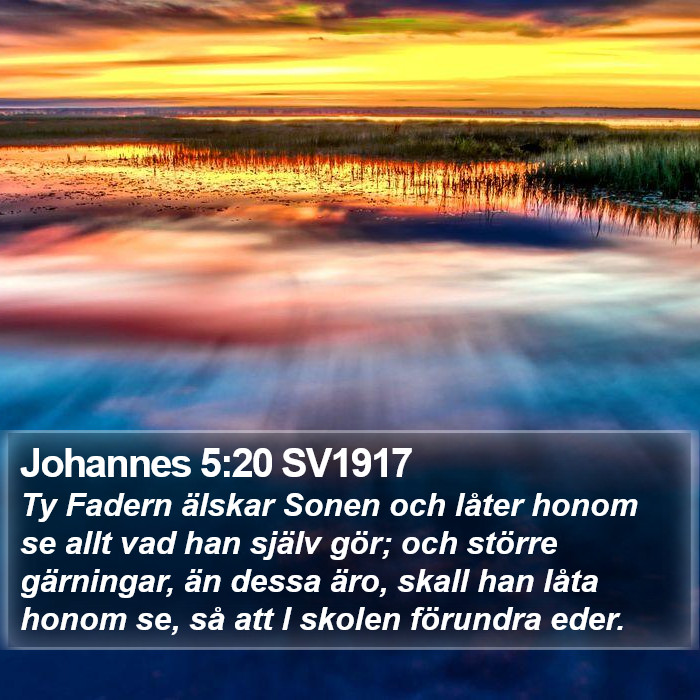 Johannes 5:20 SV1917 Bible Study