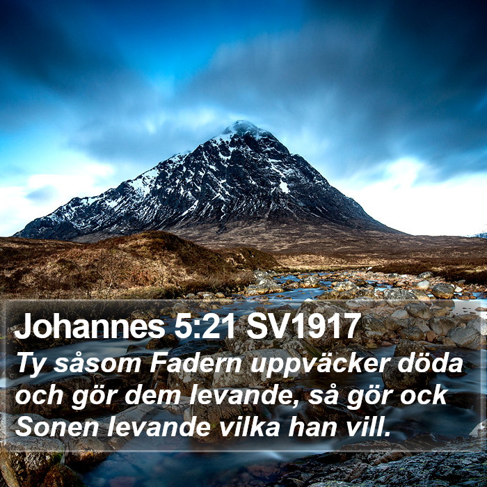 Johannes 5:21 SV1917 Bible Study