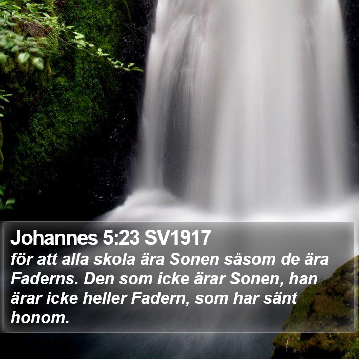 Johannes 5:23 SV1917 Bible Study