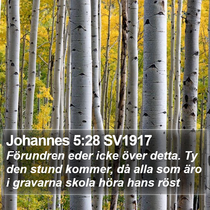 Johannes 5:28 SV1917 Bible Study