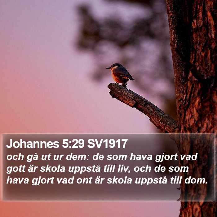 Johannes 5:29 SV1917 Bible Study