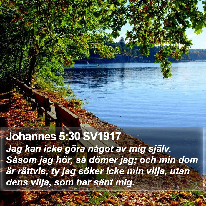 Johannes 5:30 SV1917 Bible Study