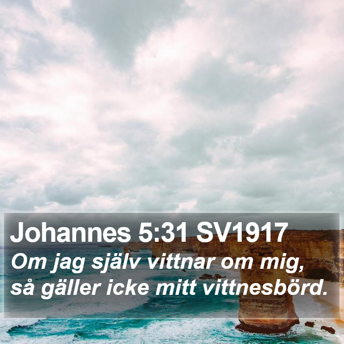 Johannes 5:31 SV1917 Bible Study