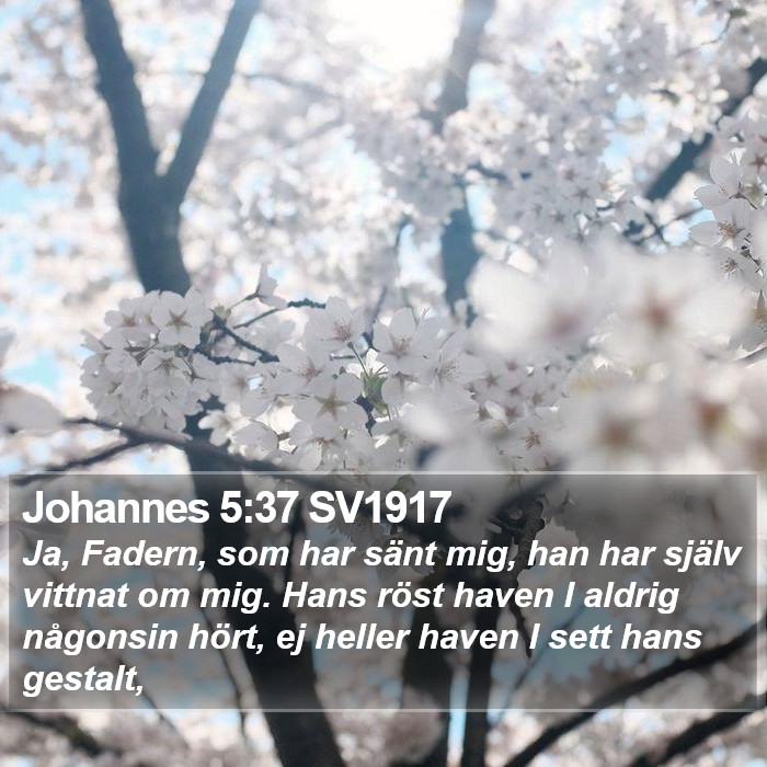 Johannes 5:37 SV1917 Bible Study