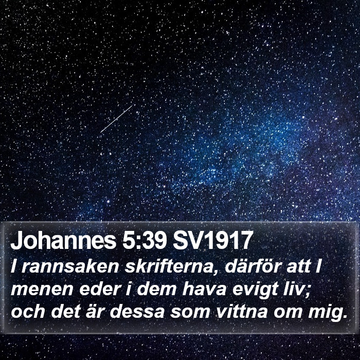 Johannes 5:39 SV1917 Bible Study