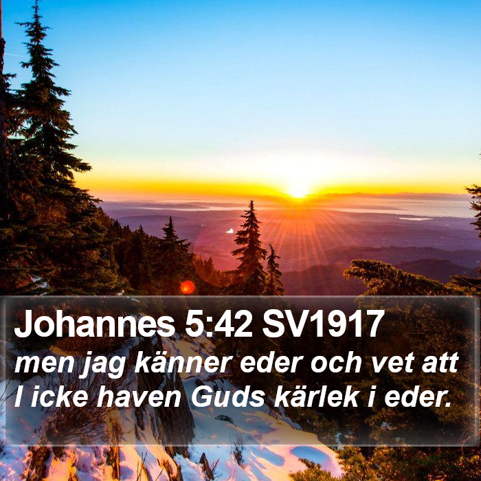 Johannes 5:42 SV1917 Bible Study