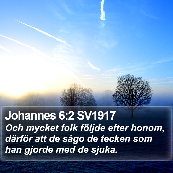 Johannes 6:2 SV1917 Bible Study