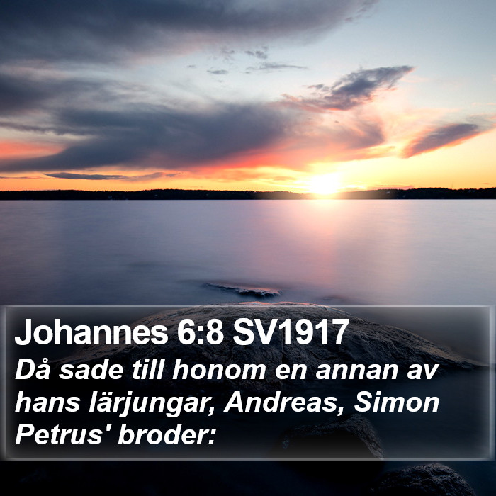 Johannes 6:8 SV1917 Bible Study