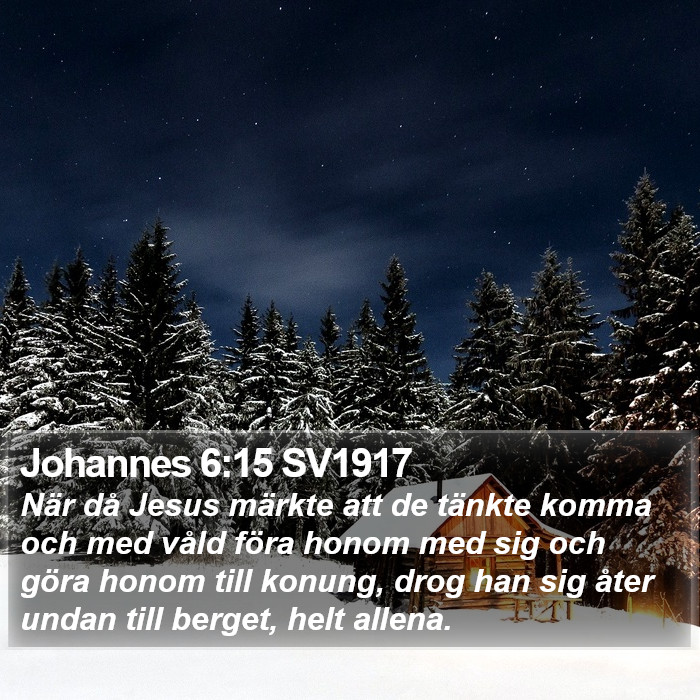 Johannes 6:15 SV1917 Bible Study