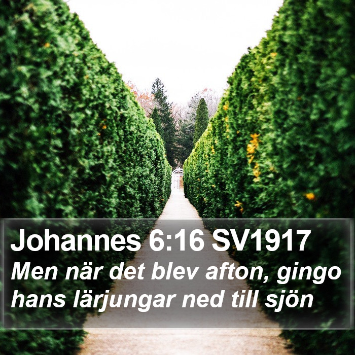 Johannes 6:16 SV1917 Bible Study