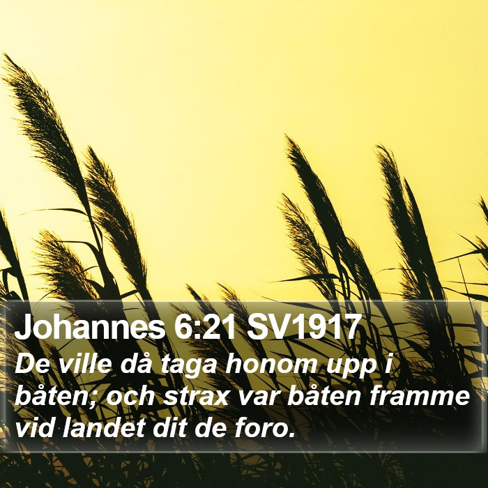 Johannes 6:21 SV1917 Bible Study