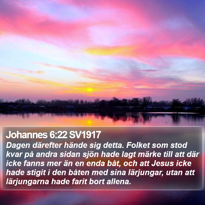 Johannes 6:22 SV1917 Bible Study