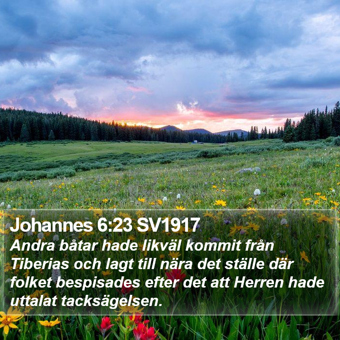 Johannes 6:23 SV1917 Bible Study