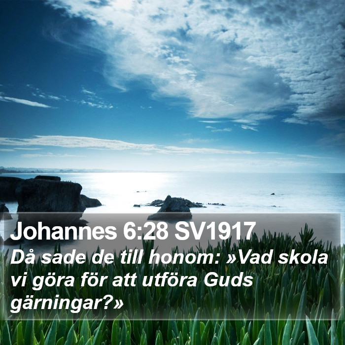 Johannes 6:28 SV1917 Bible Study