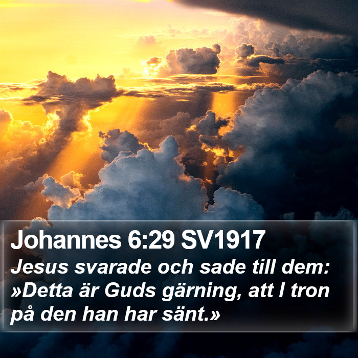 Johannes 6:29 SV1917 Bible Study