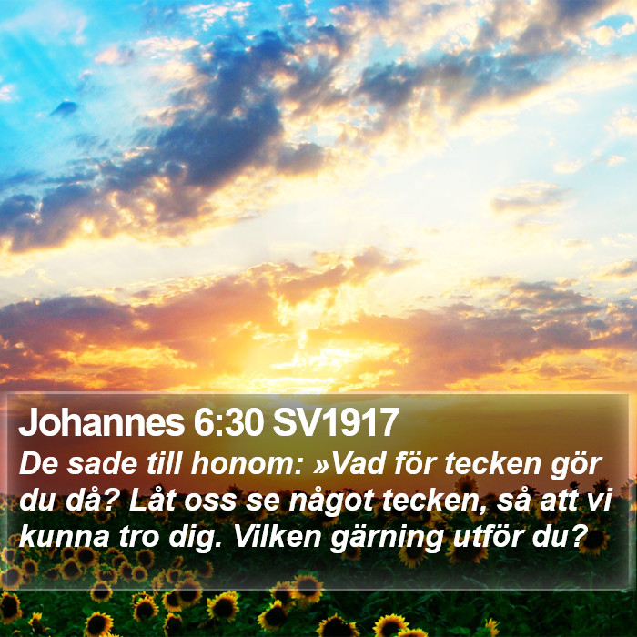 Johannes 6:30 SV1917 Bible Study