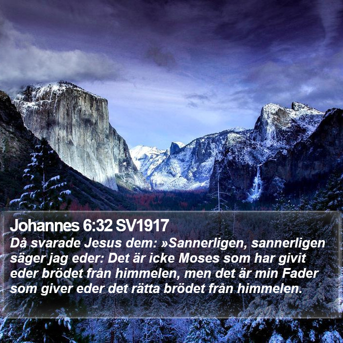 Johannes 6:32 SV1917 Bible Study