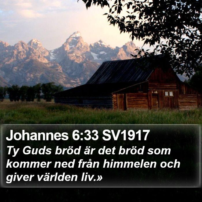 Johannes 6:33 SV1917 Bible Study