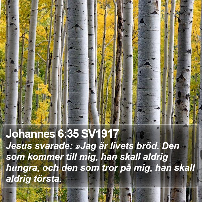 Johannes 6:35 SV1917 Bible Study