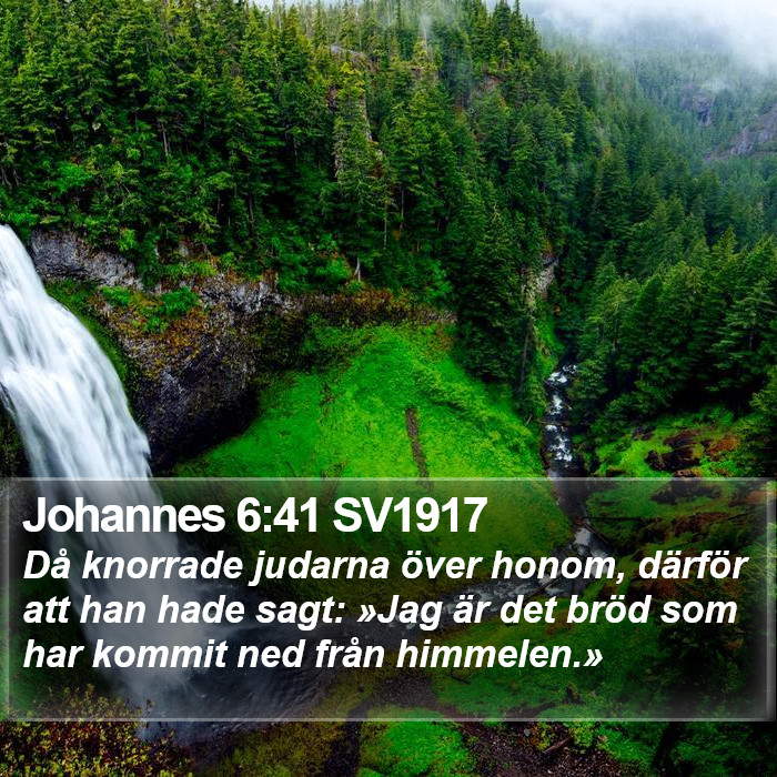 Johannes 6:41 SV1917 Bible Study