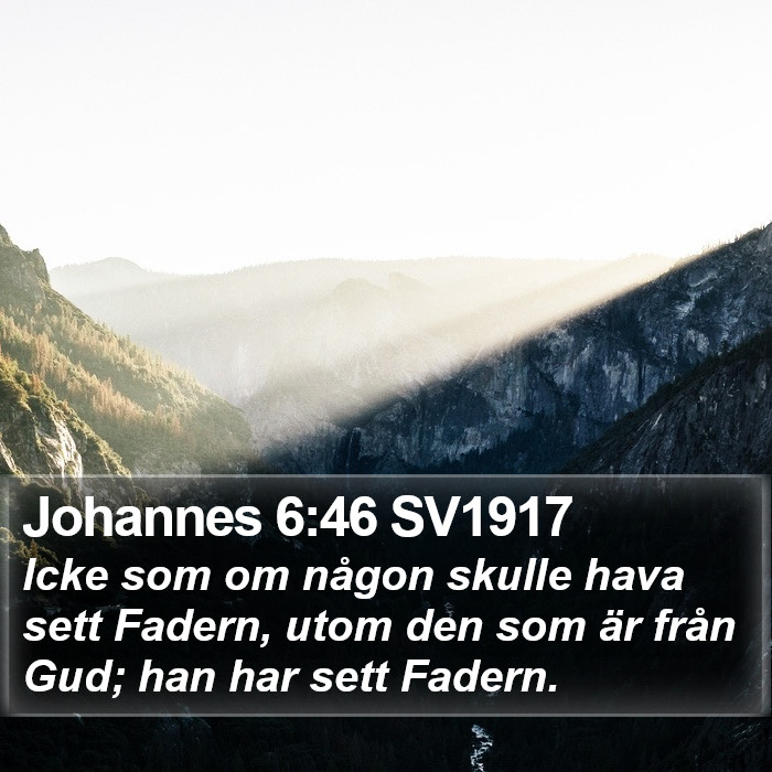 Johannes 6:46 SV1917 Bible Study