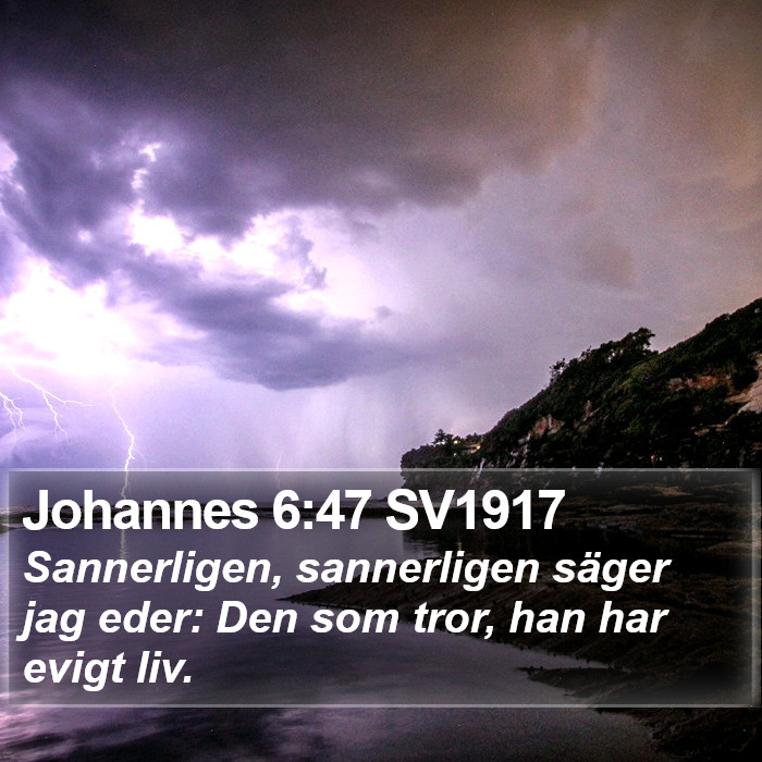 Johannes 6:47 SV1917 Bible Study