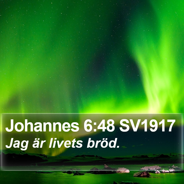 Johannes 6:48 SV1917 Bible Study