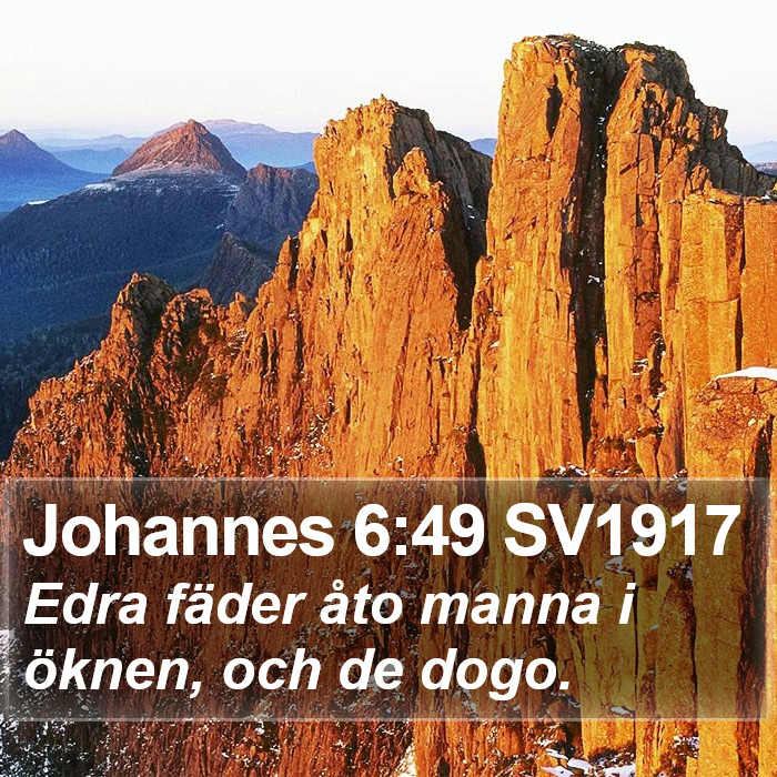 Johannes 6:49 SV1917 Bible Study