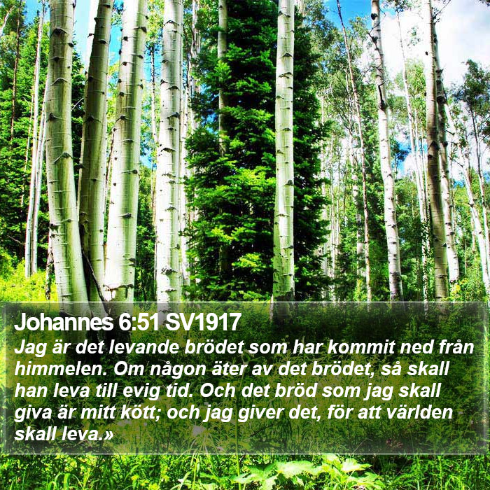 Johannes 6:51 SV1917 Bible Study