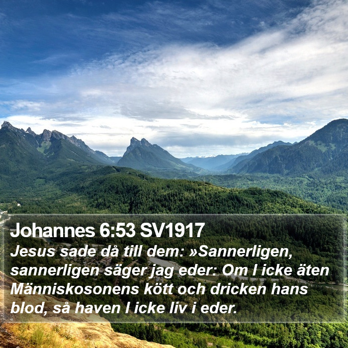 Johannes 6:53 SV1917 Bible Study